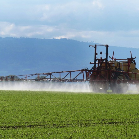 Symbolbild: Ausbringung eines Pestizids mit Traktor und Ackerspritze auf einem Feld