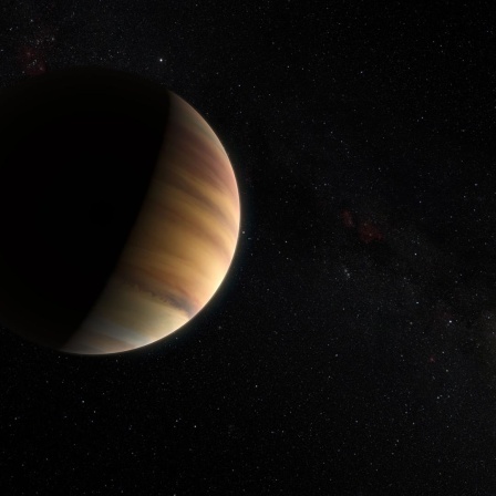 Exoplanet beim Stern 51 Pegsasi