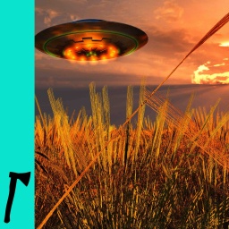 Ufo über Kornfeld bei Sonnenuntergang.