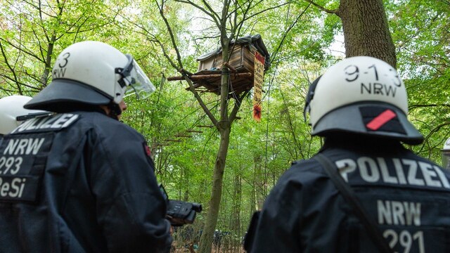 Polizisten stehen vor einem Baumhaus im Hambacher Forst