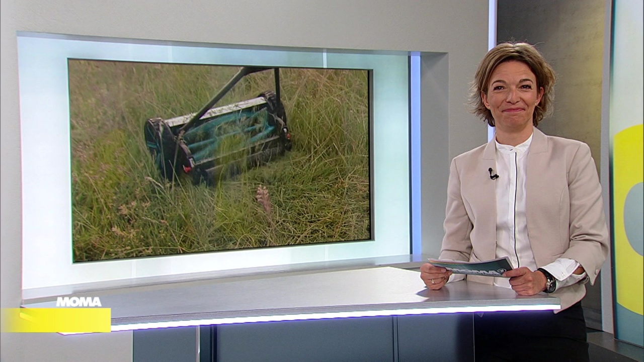 Morgenmagazin: Ran an den Rasen