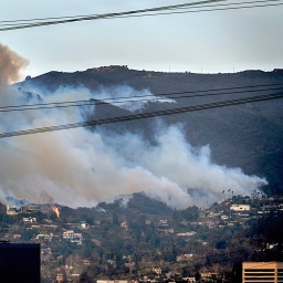 Rauch ist zu sehen bei Flächenbränden entlang eines Hügels im Stadtteil Brentwood von Los Angeles. Foto: 
