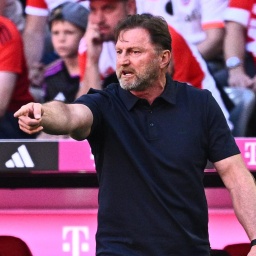 Wolfsburgs Coach Ralph Hasenhüttl agiert an der Seitenlinie.