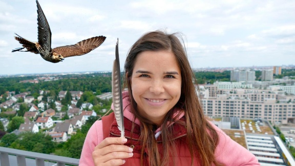 Anna, Paula, Pia Und Die Tiere - Anna Und Die Wilden Tiere: Wilde Tiere In Der Stadt