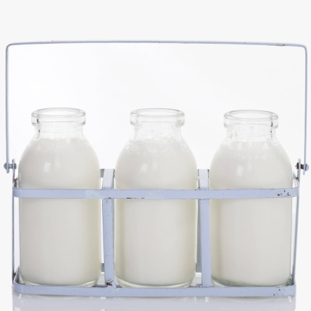 Drei Milchflaschen in Halterung