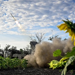 Aus einem Sonnenblumenfeld in der Ukraine wird Artillerie abgefeuert. Das Geschoss ist am Himmel sehr gut zu erkennen.