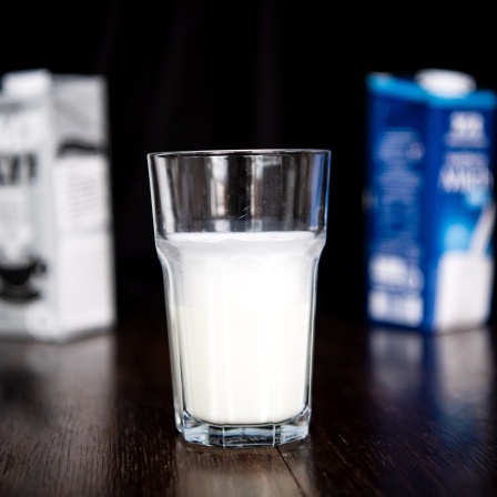 Ein Glas mit Milch steht zwischen einer Packung Kuhmilch und einer mit einer pflanzlichen Milch-Alternative auf einem Tisch.