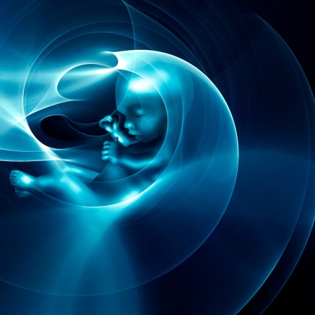 Ein grafisch nachbearbeitetes Bild zeigt einen Embryo bei der Ultraschall-Untersuchung einer schwangeren Frau.