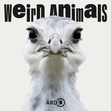 Cover Weird Animals Folge 3 Großtrappe