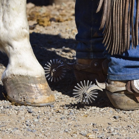 Pferdehuf neben den Sporen eines Cowboys