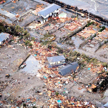 Vom Tsunami und Tohoku-Erdbeben zerstörte Häuser in Japan (Archivbild)