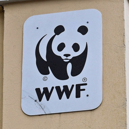 Das Logo des WWF an einer Häuserwand.