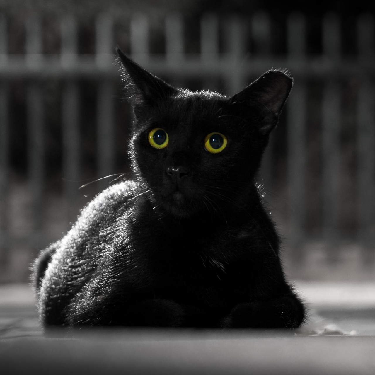 Das Geheimnis – Musikalische Rätsel Und Krimis Zum Mitraten · Berta