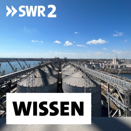 Getreidesilos im Seehafen Konstanza am Schwarzen Meer. Hier wird das Getreide entweder direkt auf große Schiffe verladen oder einige Tage zwischengelagert. Die Firma Comvex betreibt den größten Getreideterminal im Hafen. Allein Comvex schlägt so viel Getreide, Mais und Ölsaaten um, dass die Silos zwei Mal im Monat geleert und wieder gefüllt werden.