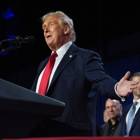 Donald Trump in Siegerpose
