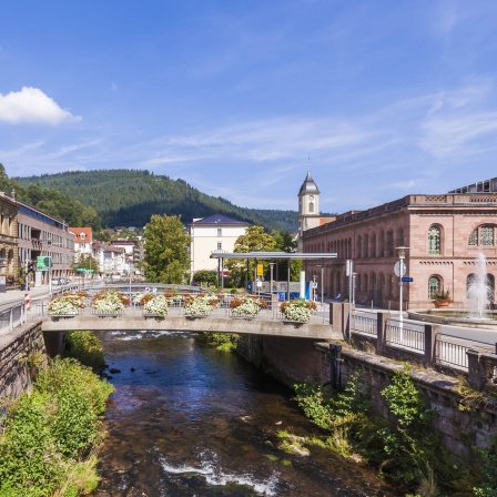 Der Kurort Bad Wildbad