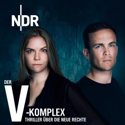 Der V-Komplex: Cover