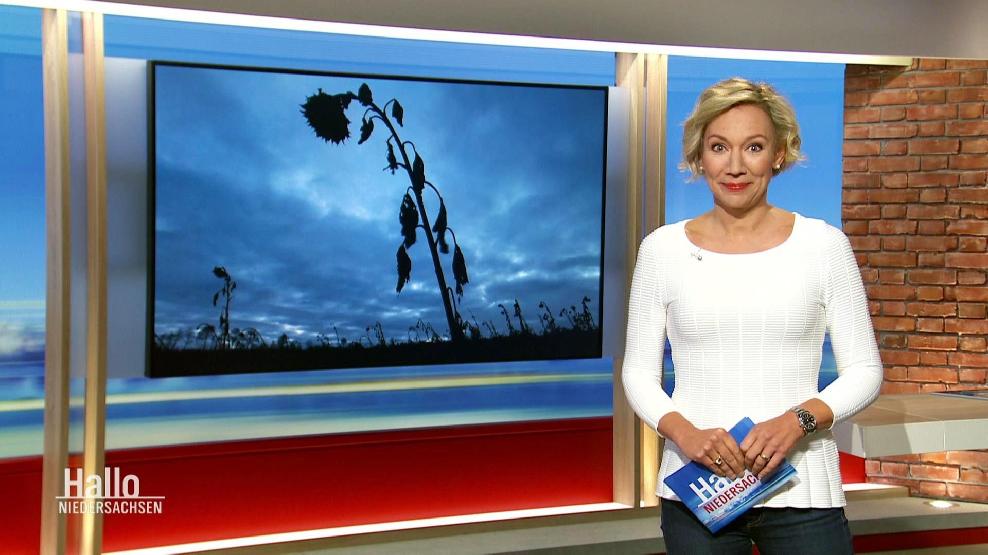 Hallo Niedersachsen | 18.09.2022 | ARD Mediathek