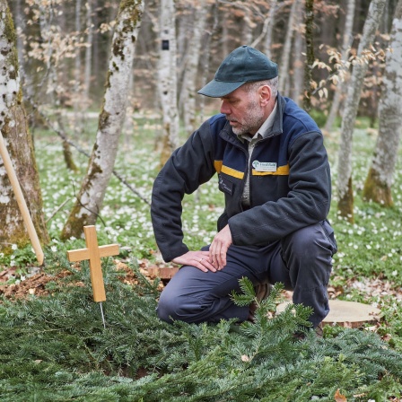 Friedwaldförster Martin Schuh an einem Grab im "Friedwald Münsingen&#034;