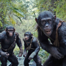 Szene aus dem Film: "Planet der Affen - New Kingdom"