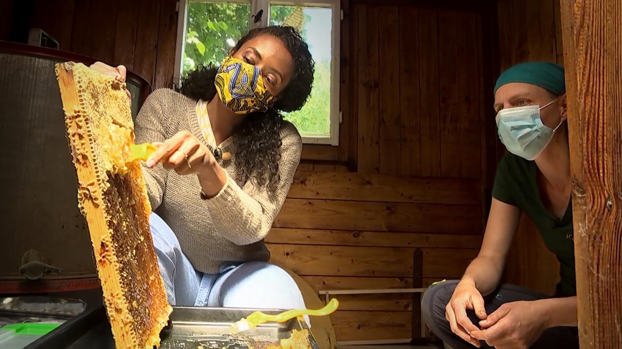 Eine Hobbyimkerin und Hautpflege mit Honig