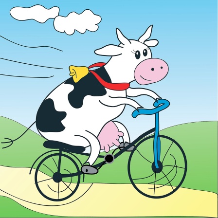 Eine Kuh auf dem Fahrrad.