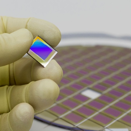 Oled-Microchip
