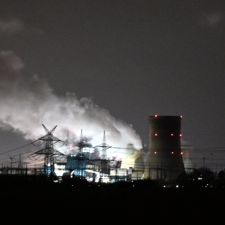 Dampf quillt aus dem Braunkohlekraftwerk Niederaußem