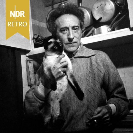Jean Cocteau mit einer Katze auf dem Arm in einer Küche.