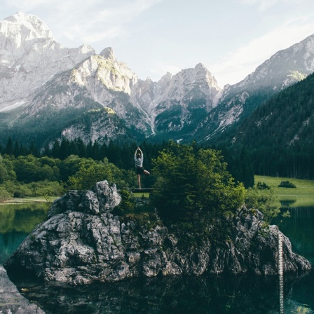 Auf dem Berge. Sinnbilder eines mythischen Ortes