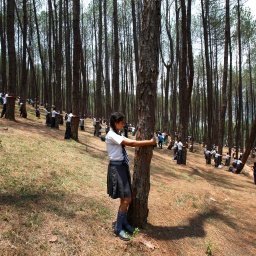 Viele junge Menschen umarmen Bäume in einem Wald
