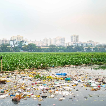 Plastikmüll in einem Gewässer in Mumbai.