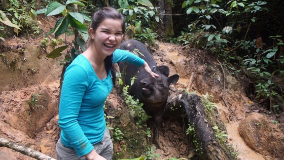 Anna, Paula, Pia Und Die Wilden Tiere - Ein Tapir Geht Baden