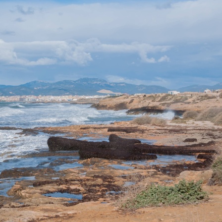 Einsame Naturküste auf Mallorca: Schon vor Corona haben Umwelt-Aktivisten einen schonenden Tourismus gefordert und angemahnt, nach neuen Wirtschaftszweigen zu suchen, so wie es auf Menorca gelungen ist.