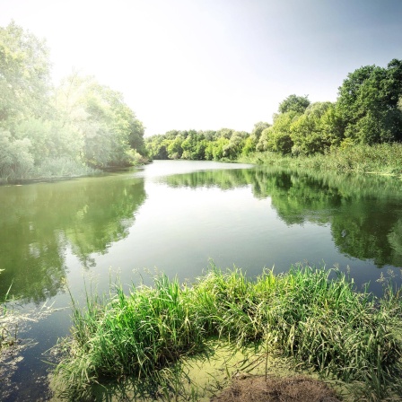 Flusslandschaft