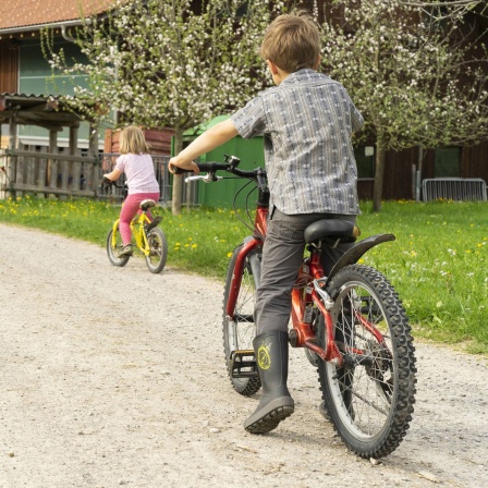 Ein Mädchen und ein Junge fahren Rad auf einer Farm