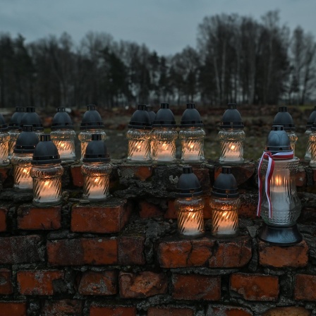 Windgeschützte Kerzen und Lampen stehen auf einem brüchigen Mauerwerk. Im Hintergrund sind Bäume zu sehen.