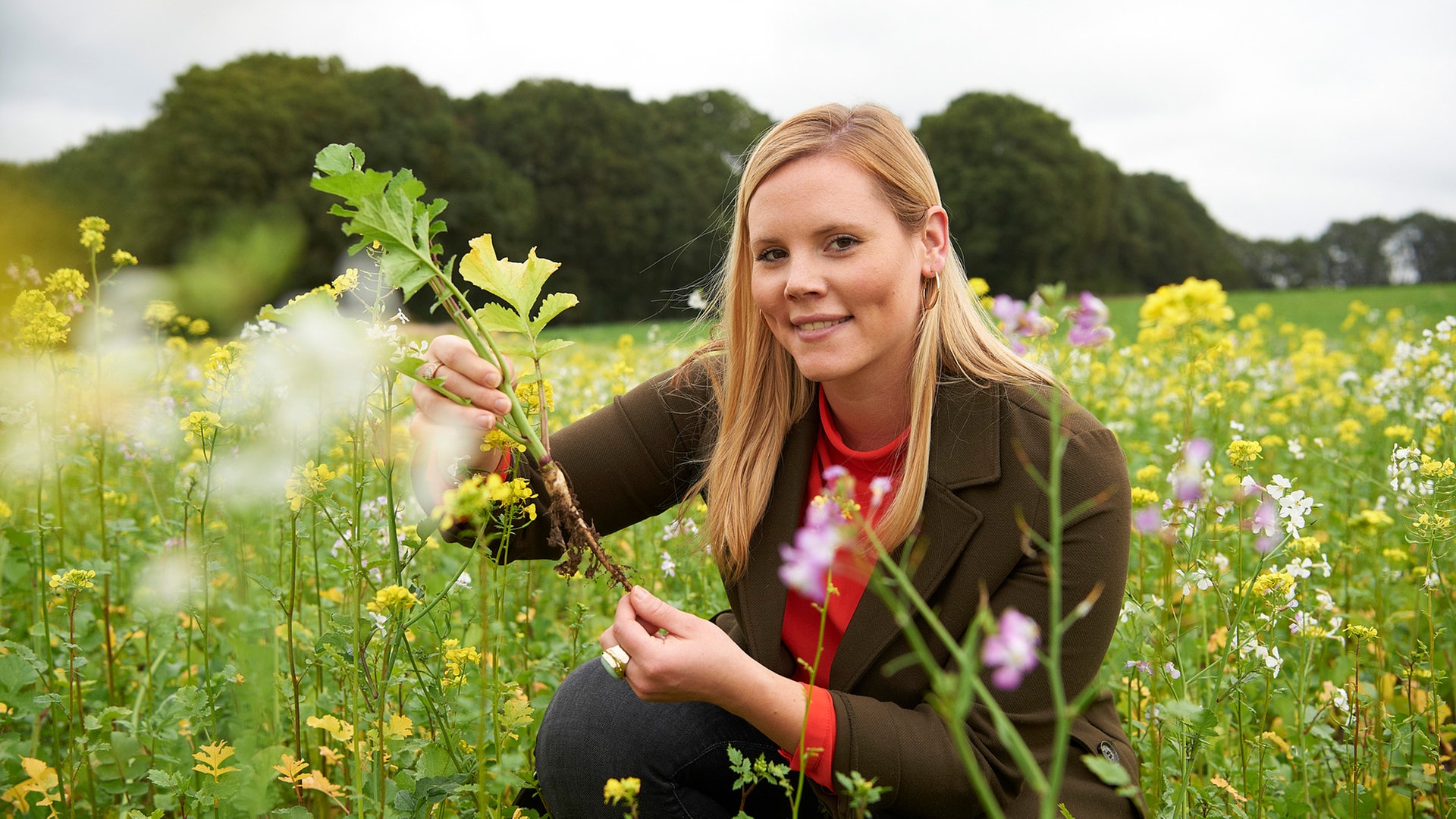 Land & Lecker: Lebenstraum Landwirtin: Real Und Digital (S17/E01) | ARD ...