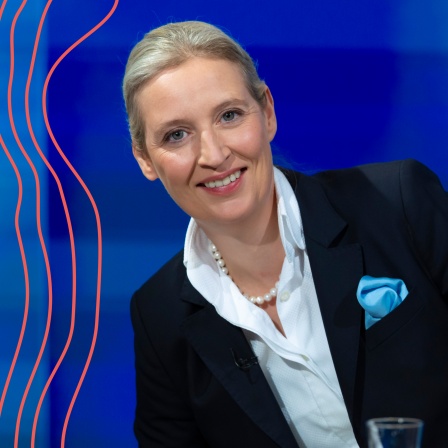 "Berliner Runde" im TV mit Alice Weidel, Bundesvorsitzende der AfD.