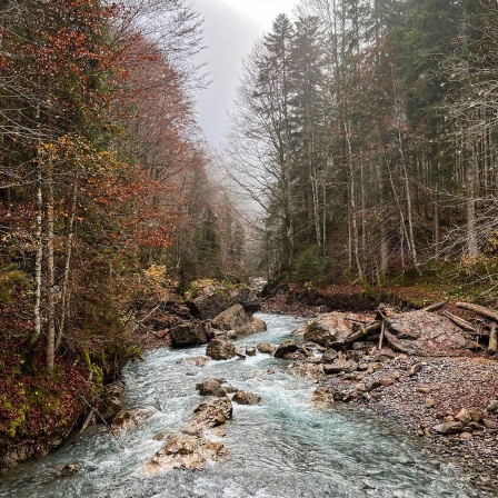 Vom Nutzen der Berge. Die Alpen zwischen Tourismus und Wasserkraft