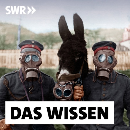 Deutsche Soldaten und ein Maultier mit Gasmasken 1917 während des Ersten Weltkriegs an der Westfront: Deutsche Truppen setzten 1915 Chlorgas ein, das bis in die französischen Schützengräben wehte und unzählige Opfer forderte. Es war der Beginn eines chemischen Wettrüstens mit Sarin, VX, Nowitschok.