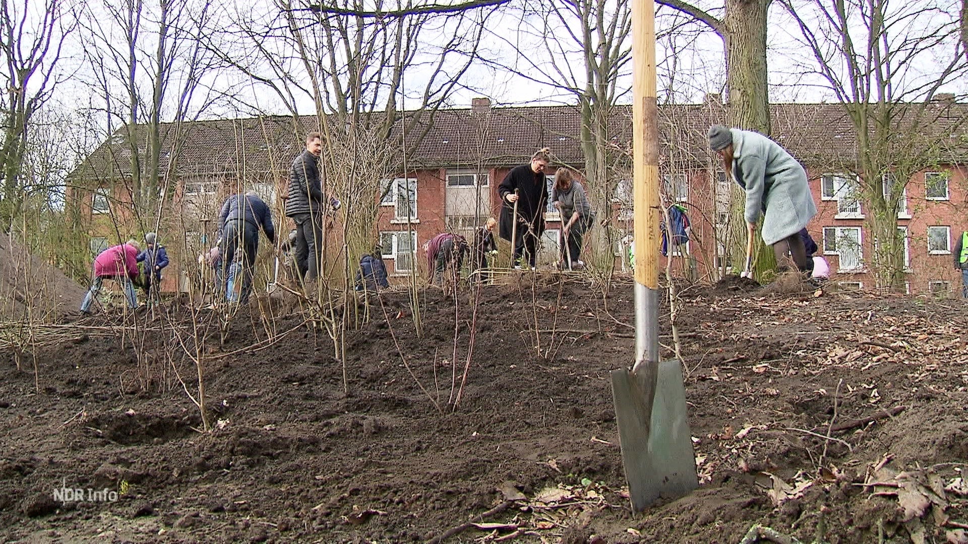 NDR Info Tiny Forest für das Klima Ein Miniwald für die Großstadt