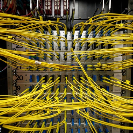Digitalisierung: eingesteckte Glasfaserkabel in einem Rechenzentrum
