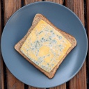 Eine Scheibe verschimmelter Käse auf Toast auf einem Teller.