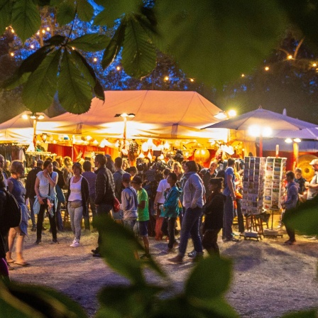 Impressionen aus dem Heinepark zum 29. Rudolstadt Festival 2019
