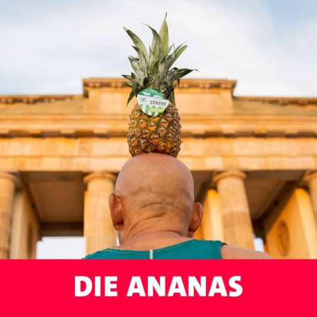 Podcast Doktorspiele, Folge: Die Ananas