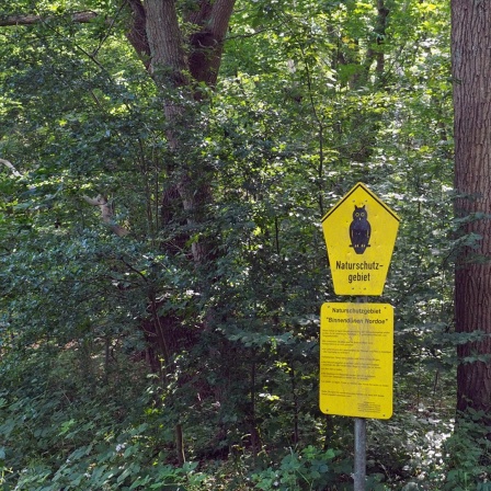 Ein gelbes Schild mit einer Eule und Wegweiser stehen an einem Weg in der Kremperheide. 