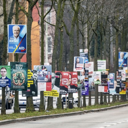 Wahlplakate zur Bundestagswahl 2025, BTW25. Wahlwerbung verschiedener Parteien an einer Straße in Heilbronn.