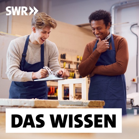 Ein junger Mann hobelt in einer Lehrwerkstatt, ein Lehrmeister schaut zu, beide lachen: Jugendliche wissen oft nicht, welchen Beruf sie später ergreifen sollen. Allein die riesige Auswahl überfordert viele. Nötig wäre eine intensive Beratung. Aber die ist aufwändig.
