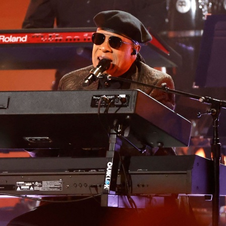 Stevie Wonder 2023